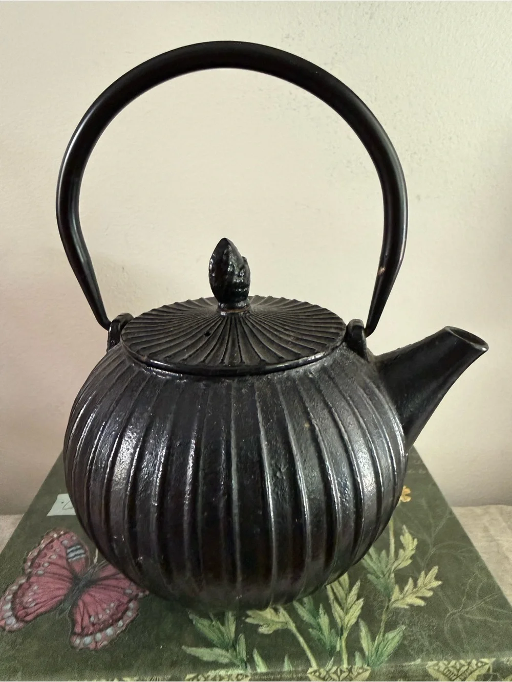 Black Cast Iron Ribbed Teapot with Handle